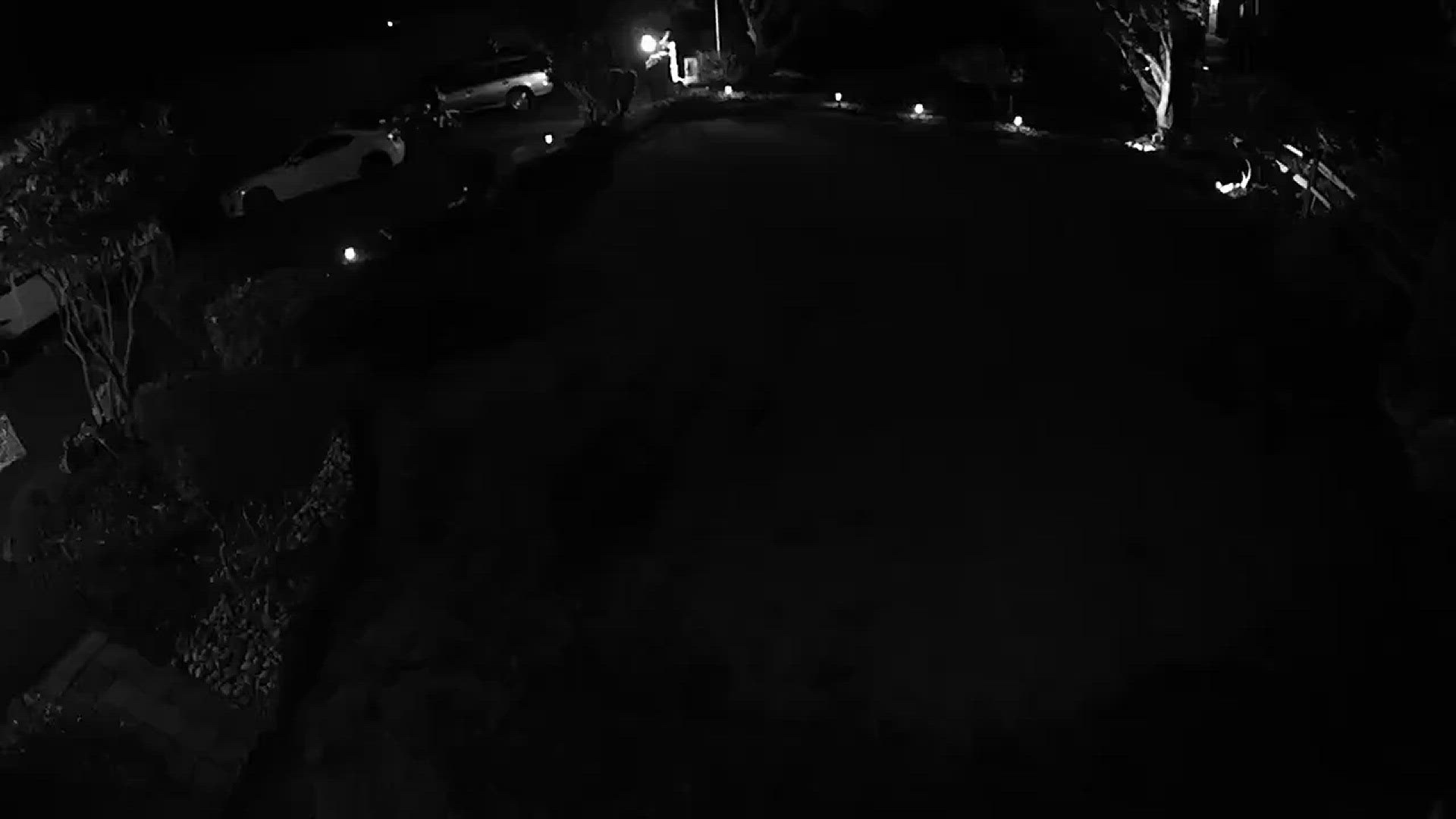 This was about an hour and half ago in my front yard. I did notify wdfw and pierce county animal control.
Credit: Security camera footage