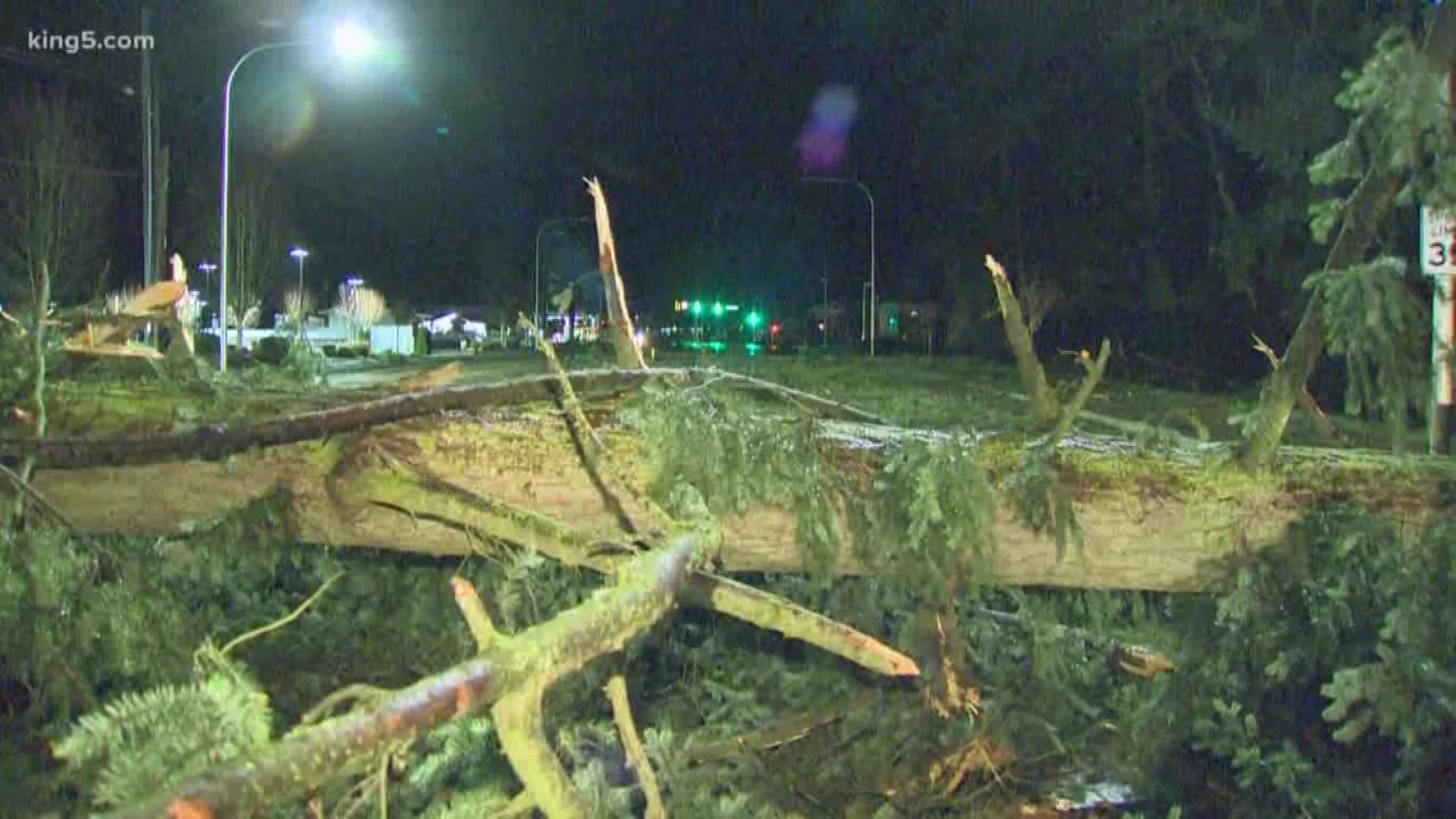 Here's a look at damage from the early Sunday windstorm in Western Washington