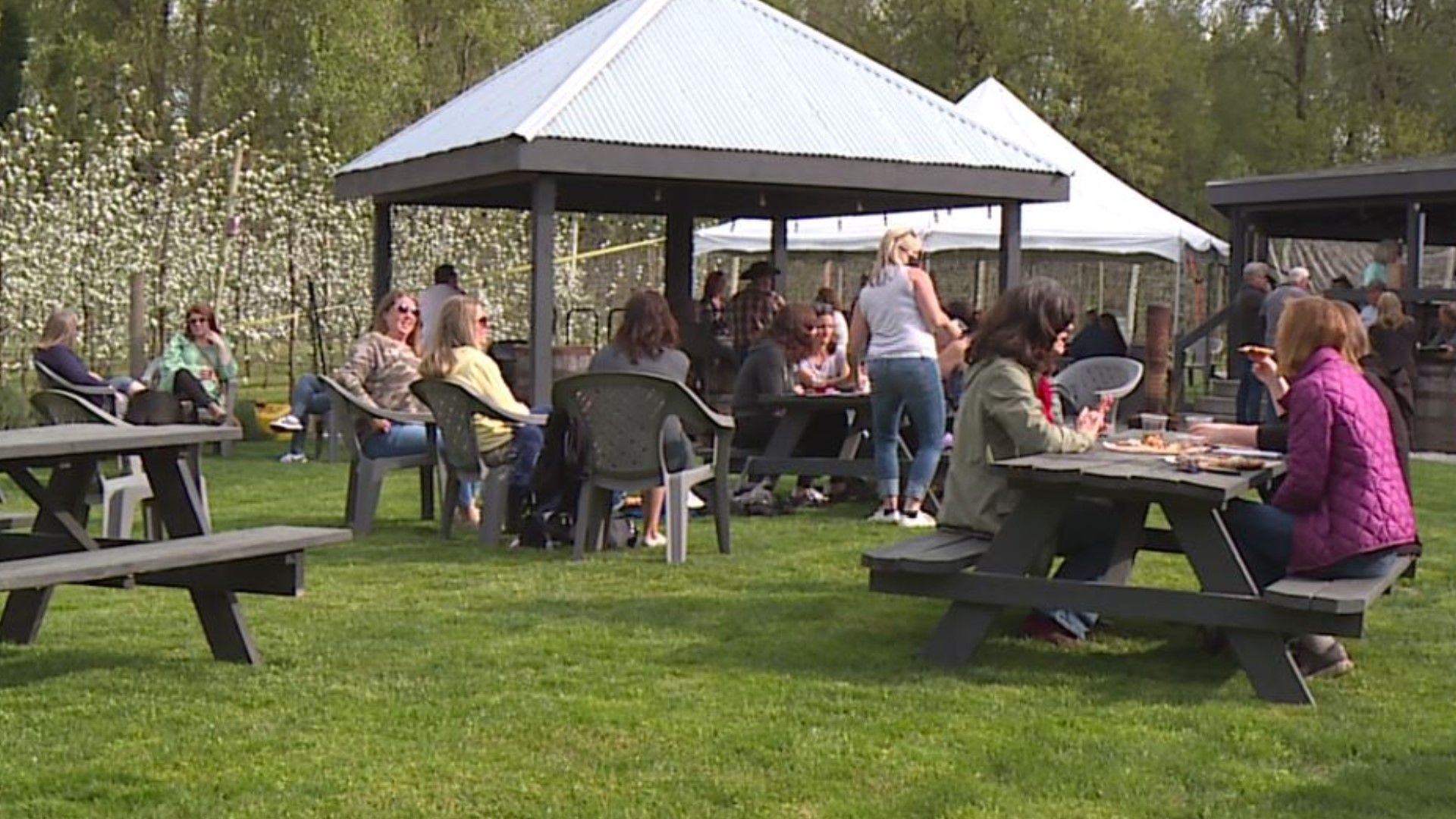 Puyallup hard cider makers find fruitful ways to spend their retirement