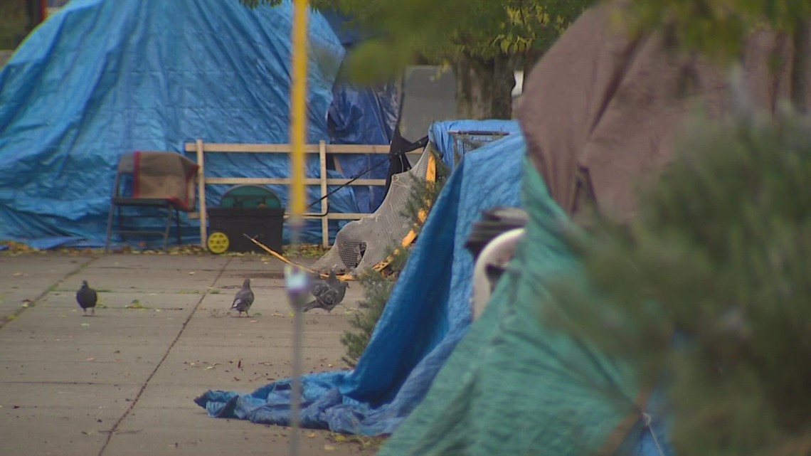 1-in-5 shootings connected to homeless encampments in 2021 - Vimarsana News