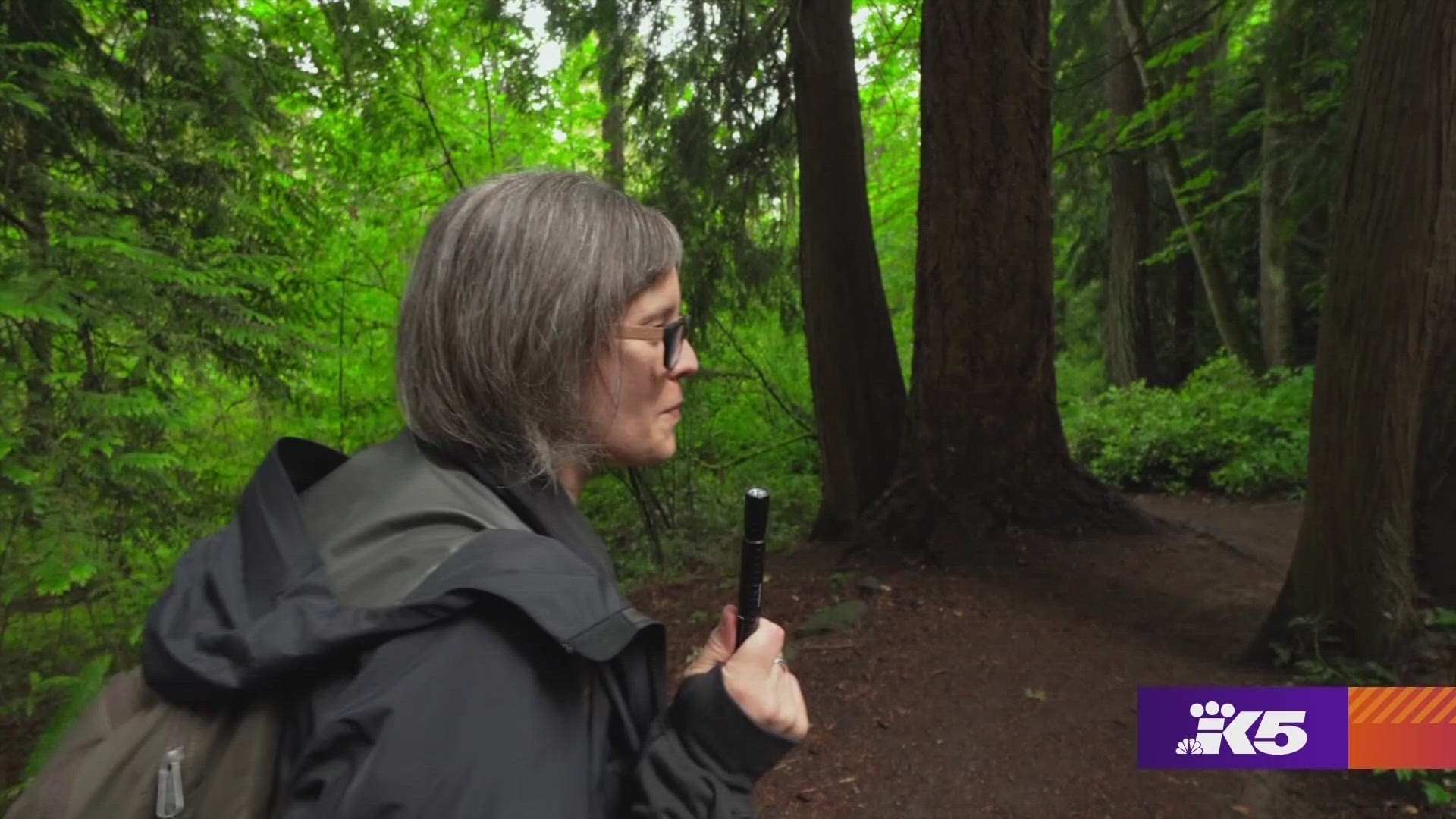 Projects and tips for discovering the natural wonders in your own backyard #k5evening