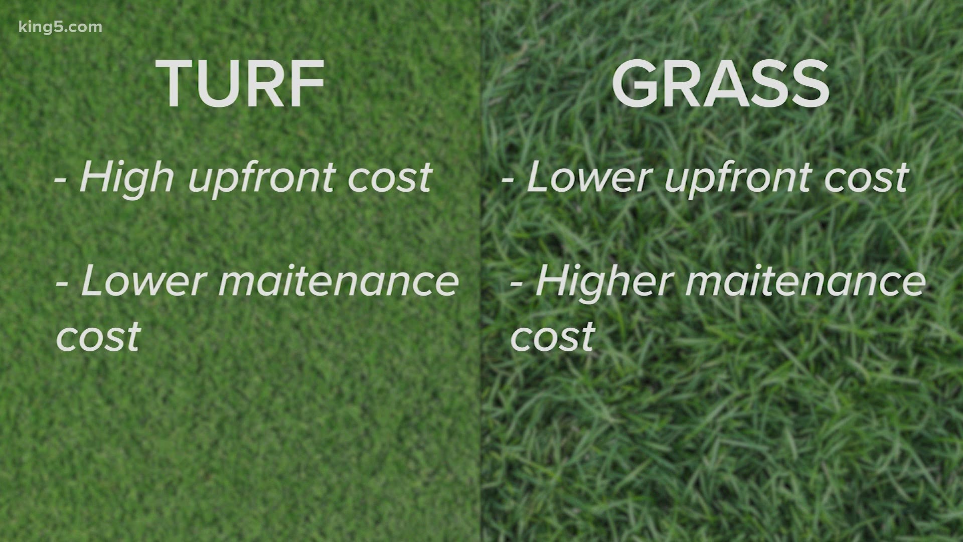 Memphis Artificial Grass Experts Astro Turf