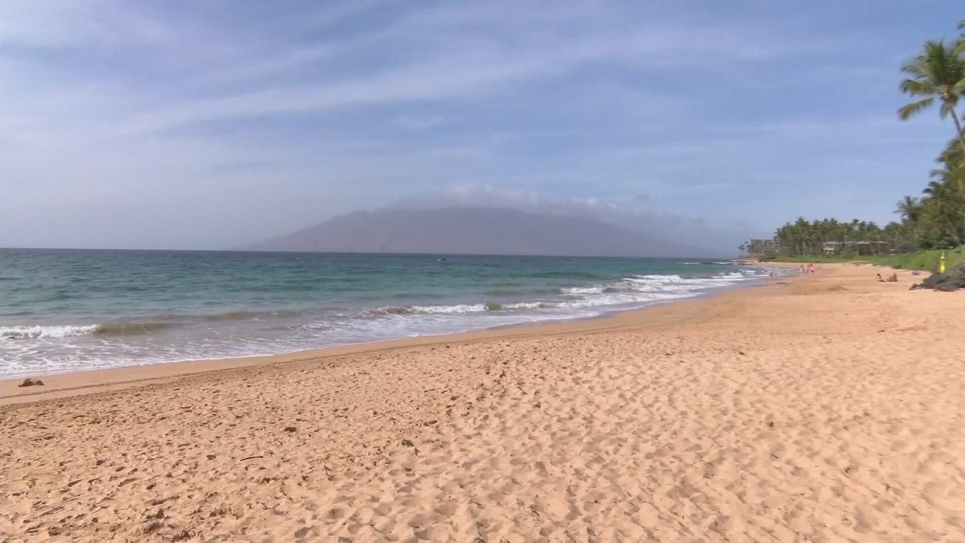 A couple from Washington died in Maui over the weekend after first responders found the husband and wife unresponsive in the water where they were snorkeling.