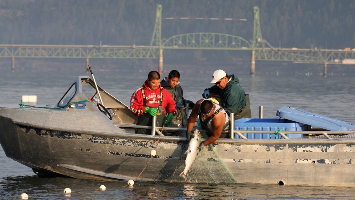 Salmon gill net fishing ban narrows focus to Columbia River | king5.com