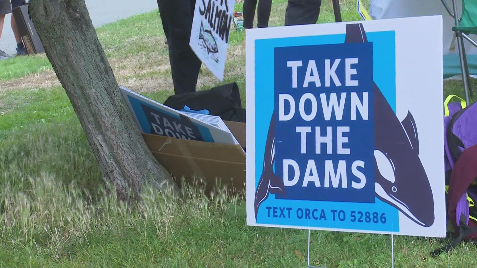 The groups want the dams removed to save salmon and replaced with other sources of renewable energy from things like electrifying railways.