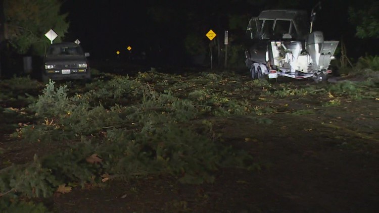 What to do when the power goes out - King County, Washington