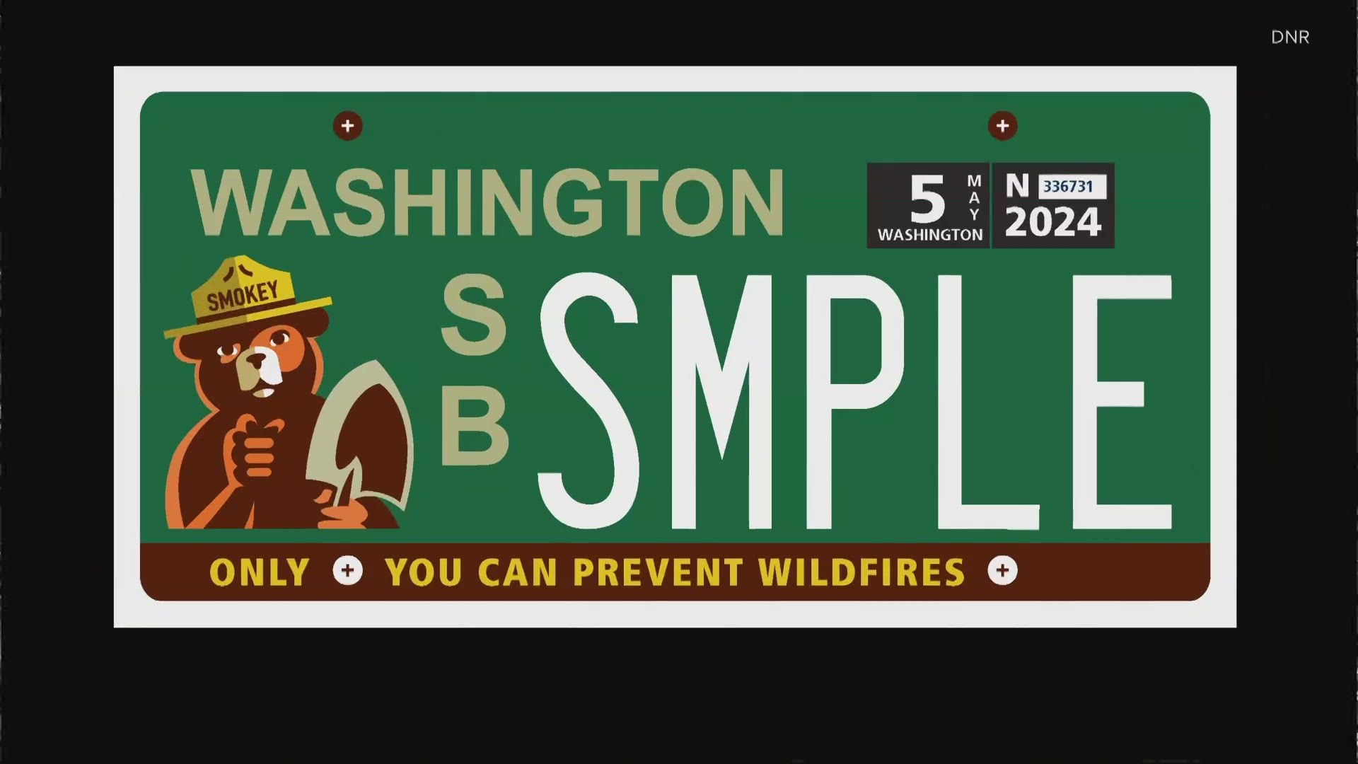 Only you can prevent wildfires -- by supporting an effort to bring a new specialty license plate to Washington.