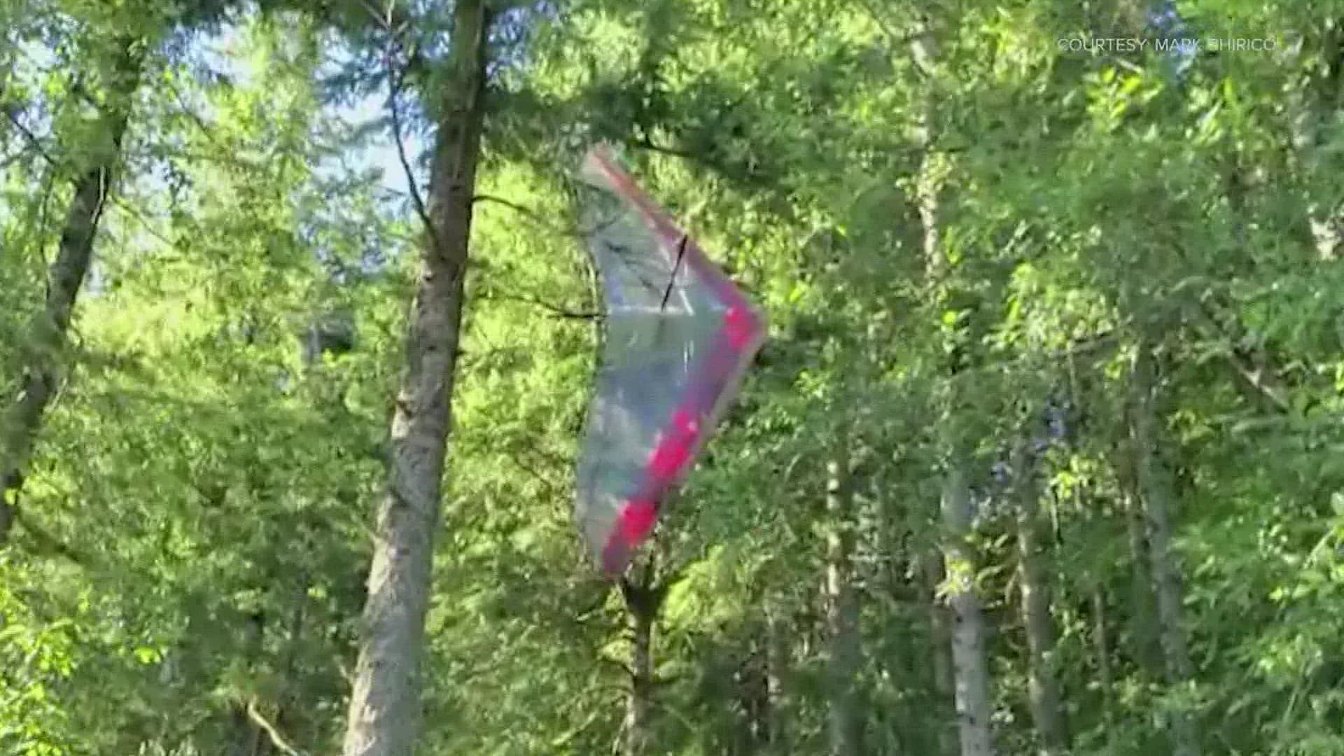 The hang glider was stranded about 30 feet up a tree when rescue crews responded.