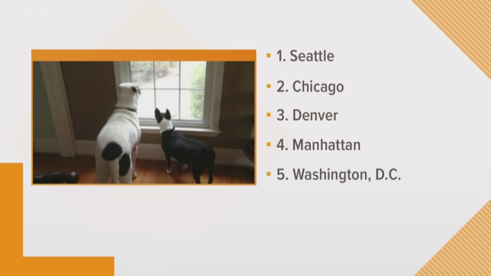 Rover.com's award looked at houses for sale in 14,000 cities and Seattle had the most dog amenities of all.