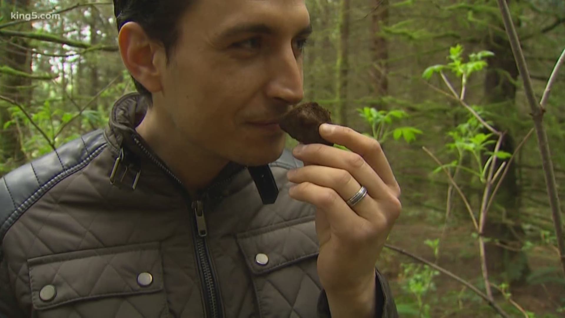 KING 5's Jordan Steele goes truffle hunting for the first time. Until this day, he had no idea how desired and how much money people spend on this fungai.