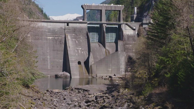 Court of Appeals sides with Sauk-Suiattle Tribe in 'greenwashing' case against Seattle City Light