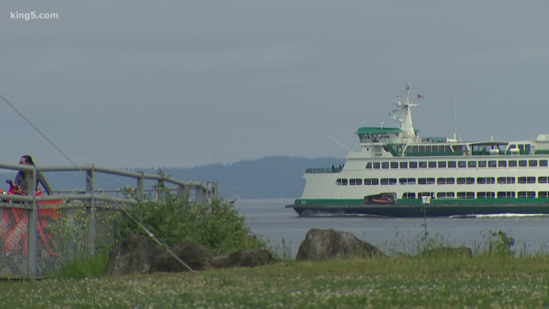 King 5's Michael Crowe and Alison Morrow give us the latest on the search for the whale struck by a Washington State Ferry.
