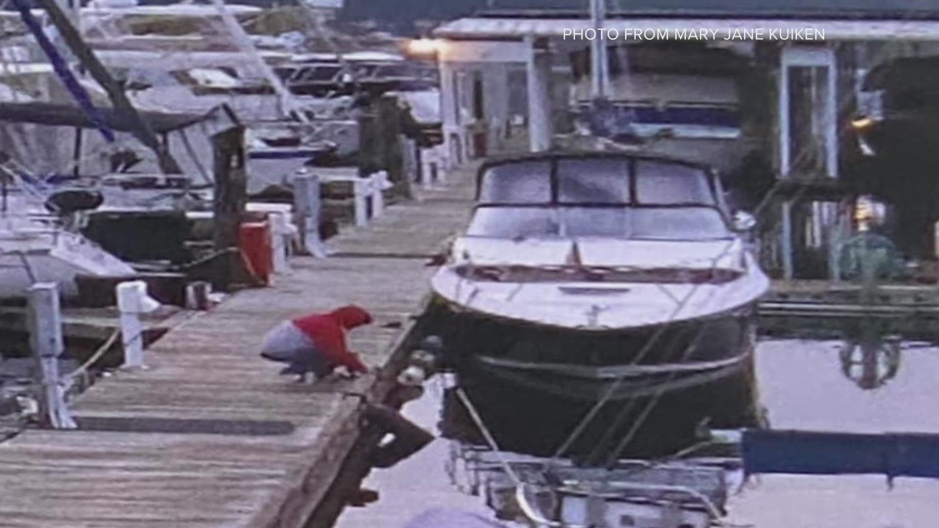 Gig Harbor Police Chief Kelly Busey said boat theft is rare in Gig Harbor which houses upwards of 1,500 vessels.