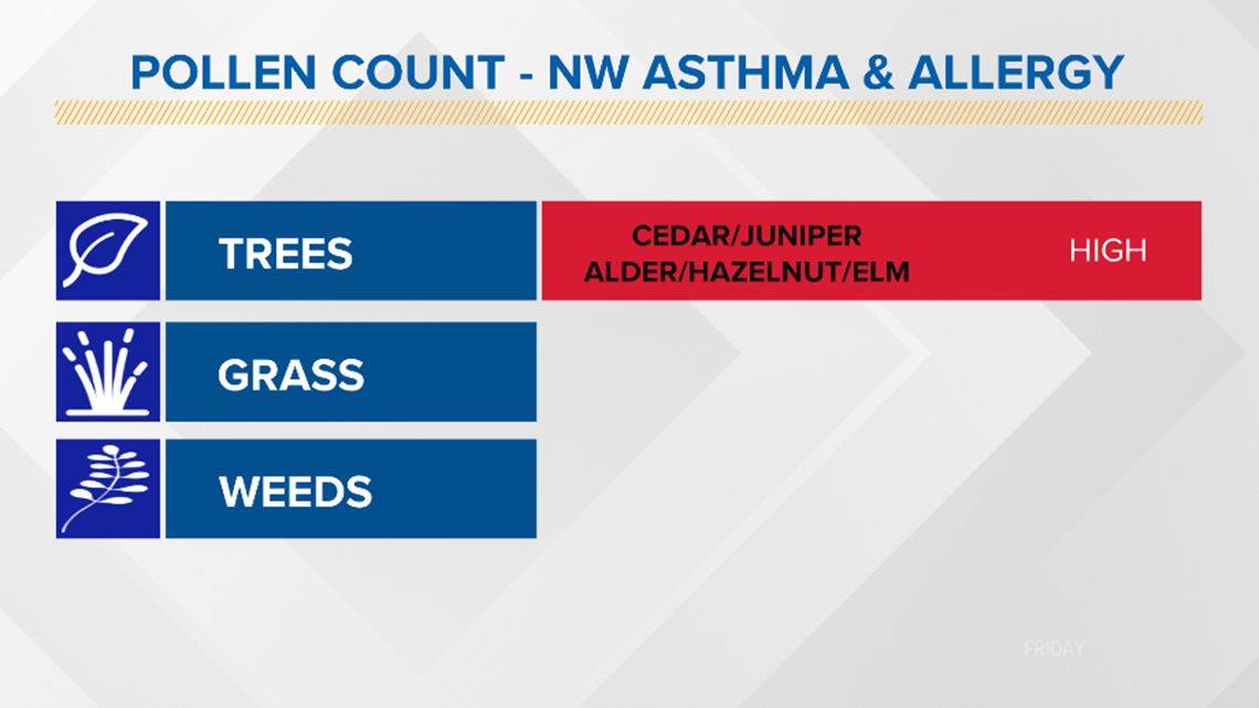 Allergy season begins in Seattle as tree pollen ramps up