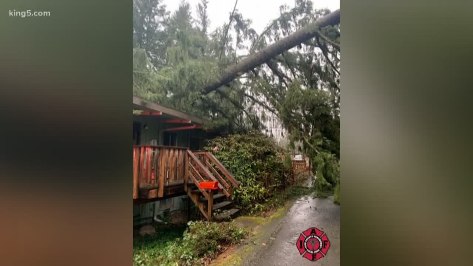 A tree fell on a trail near Redmond, injuring hikers, on Feb. 23, 2020. Another tree fell on apartments in Renton critically injuring one man.