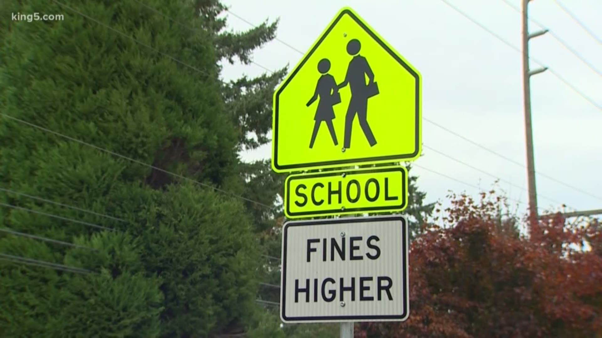 The City of Kirkland hopes speed cameras will slow down drivers near school zones. KING 5's Amy Moreno reports.