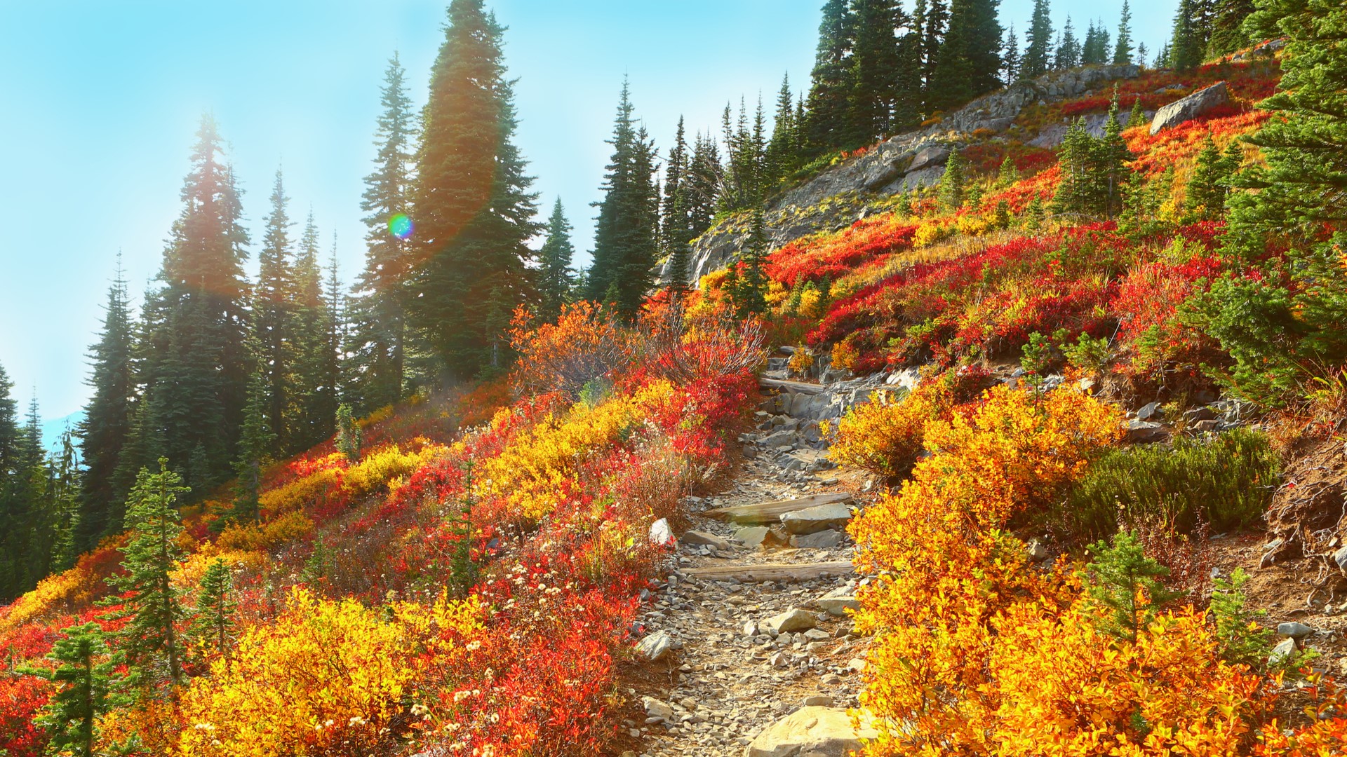 Northwest hiking trails that celebrate the splendor of Fall | king5.com