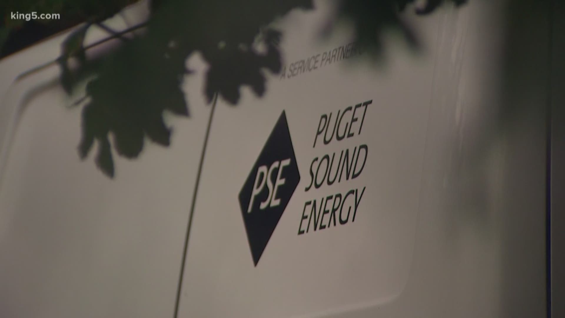 Puget Sound Energy said their workers are specifically trained how to work around dogs. They are supposed to watch for signs of a dog, like a chew toy. If they suspect there might be a dog at the property, they knock on the door to alert the homeowner of their presence, but this is only if they can see evidence of a dog.