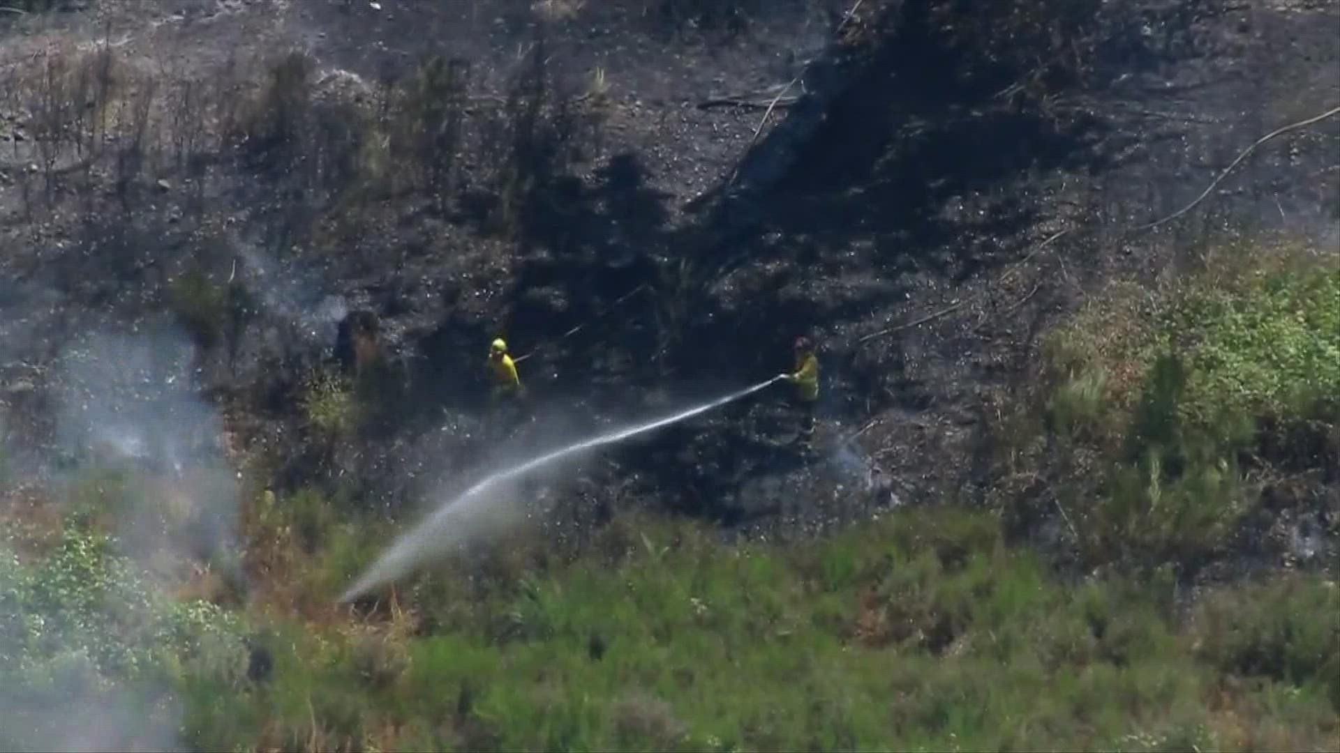 A brush fire in South Hill is believed to have started after a tree fell onto power lines.
