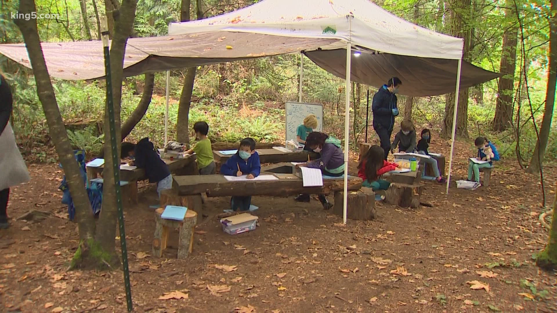 The Little School in Bellevue brought students back early well before other schools by teaching outdoors.