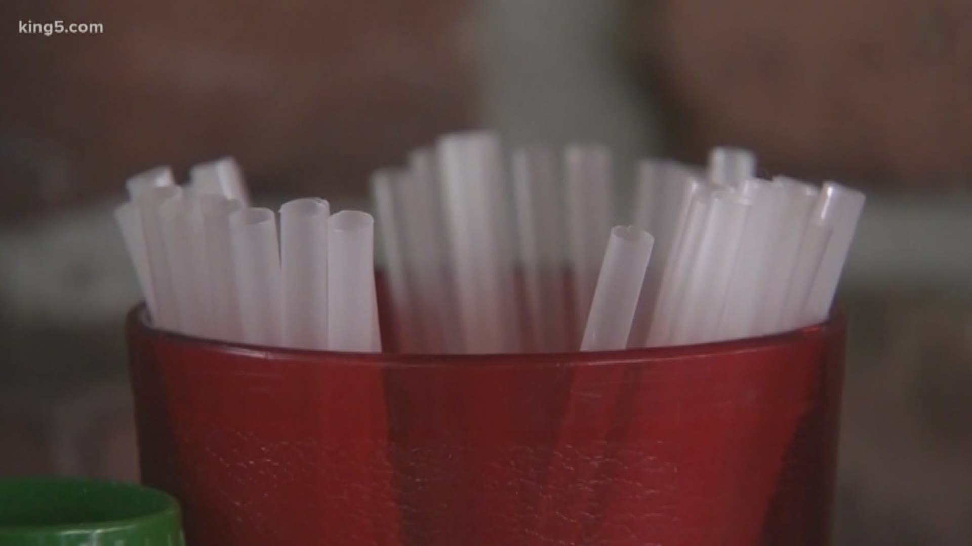 City Council passes bill limiting single-use plastic straws