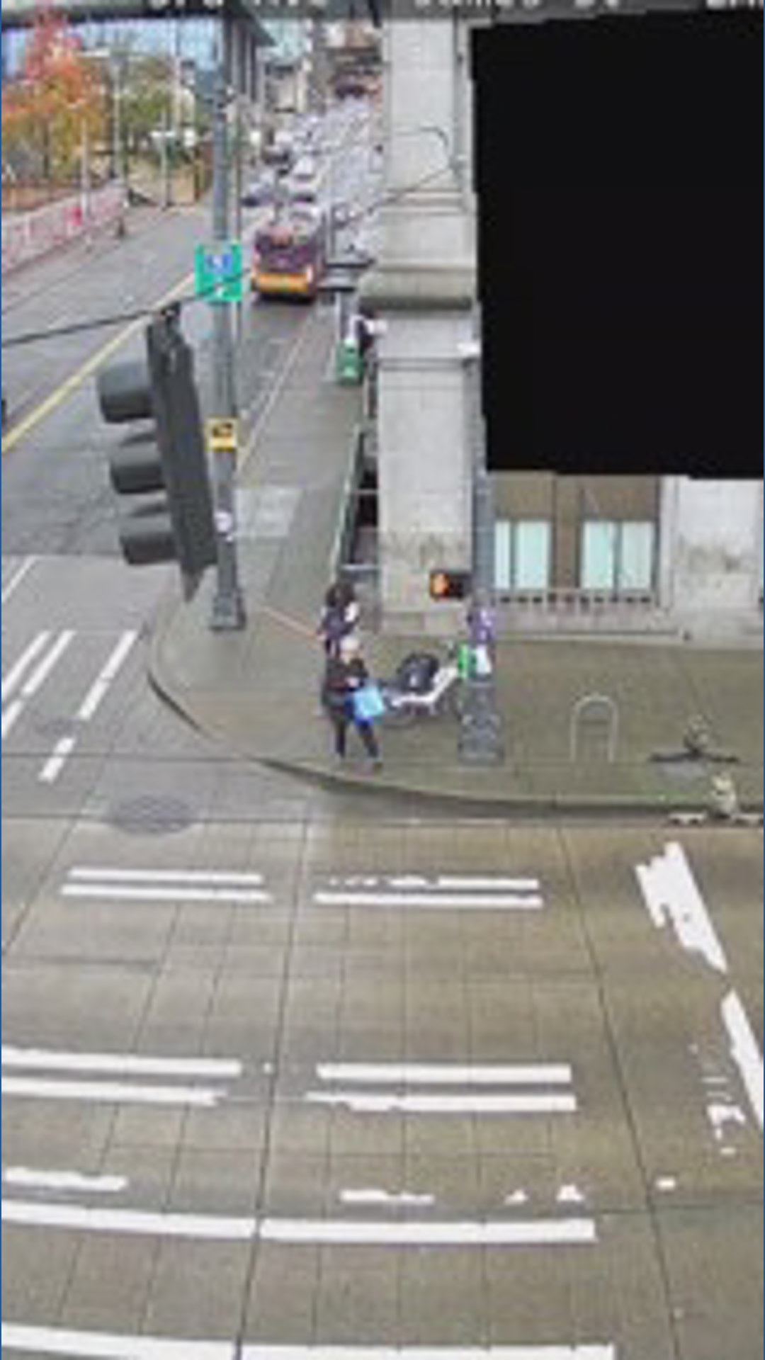New video shows attack on elderly woman in Seattle | king5.com