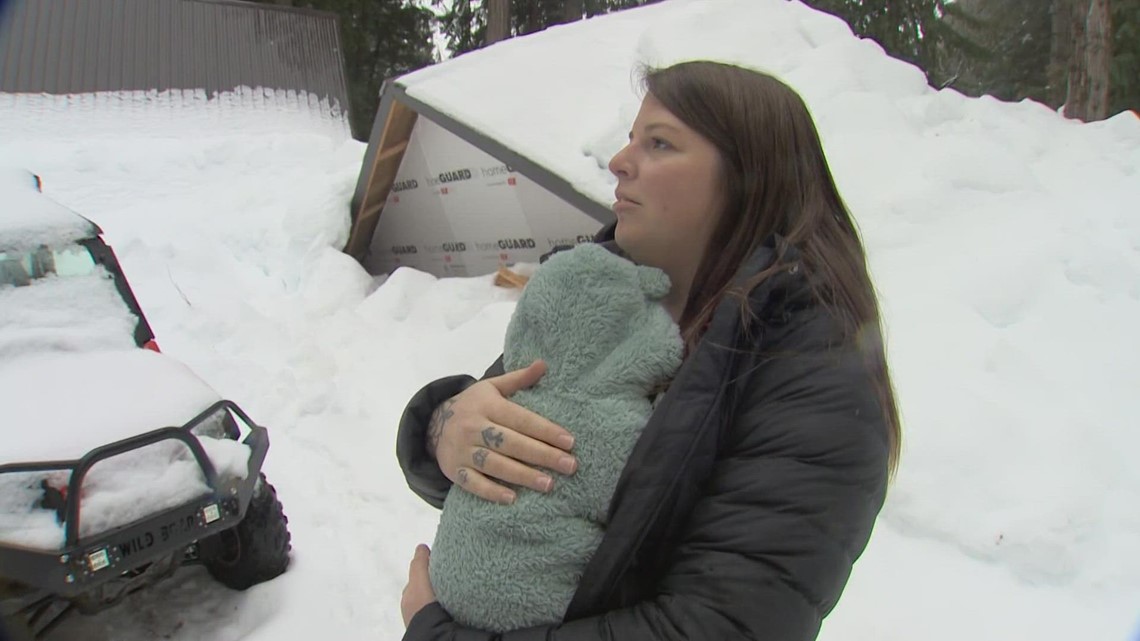 'We're insanely lucky to be alive': Mother recounts moment roof collapsed over home