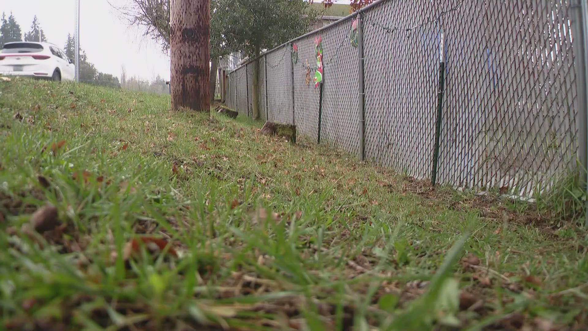 Neighbors in Kitsap County say a woman was putting up Christmas decorations on the outside of her fence when she found the skull.