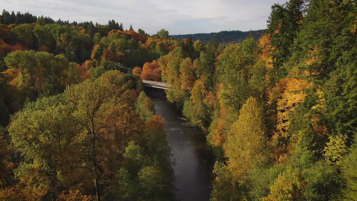 Here's when to expect vibrant fall colors across Washington - Vimarsana News