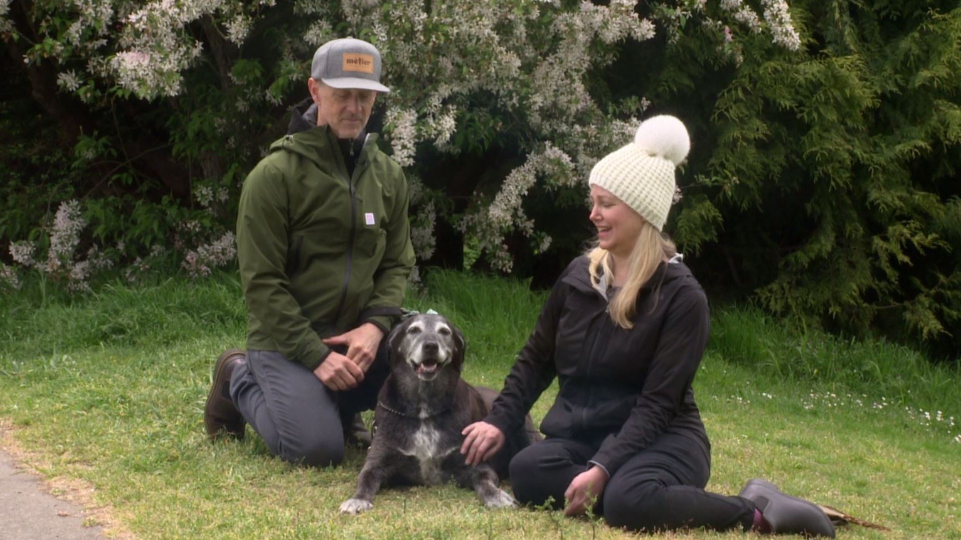 When Buddy the Dog suddenly lost his owner, the neighbors of Three Tree Point rallied to find him a new home. #k5evening