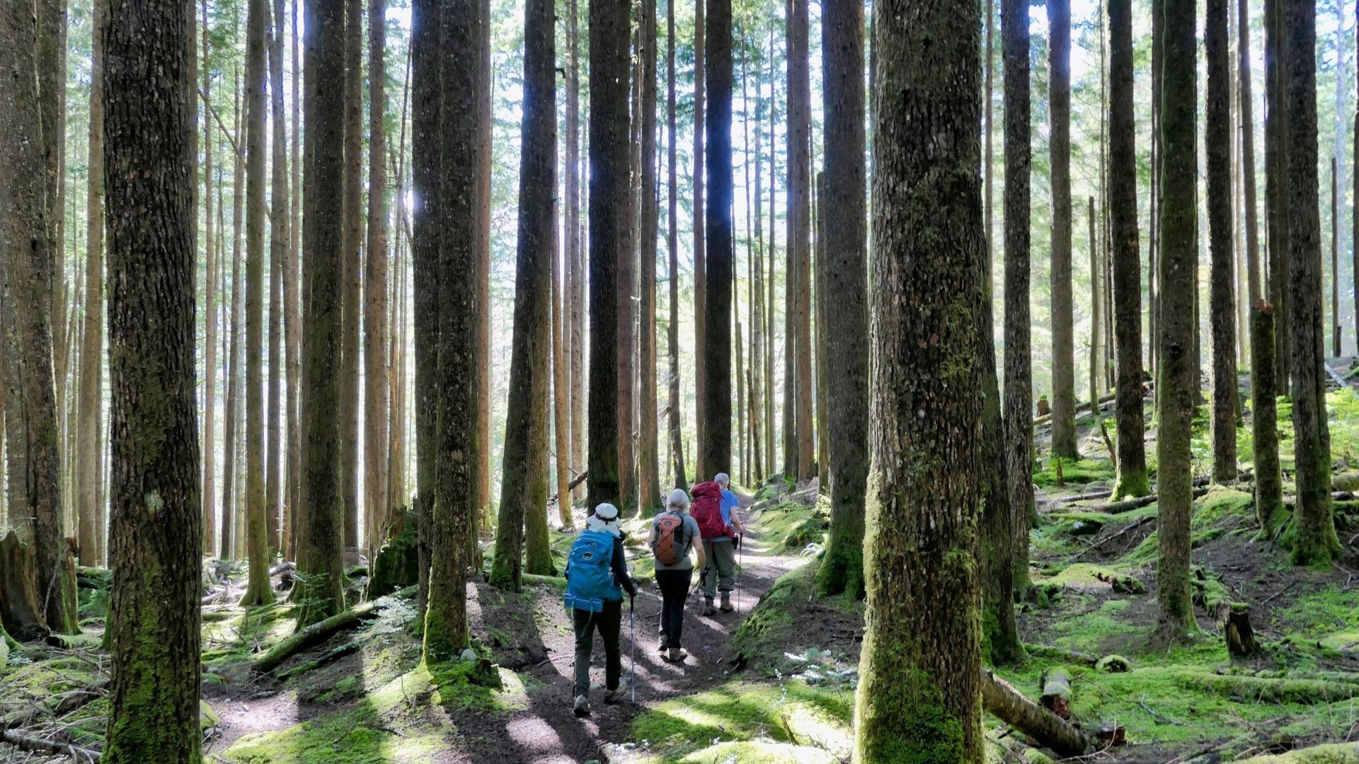 Teresa Hagerty, a Seattle outdoor guide, shares her recommendations for seniors who are looking to explore the fantastic trails Western Washington has to offer.