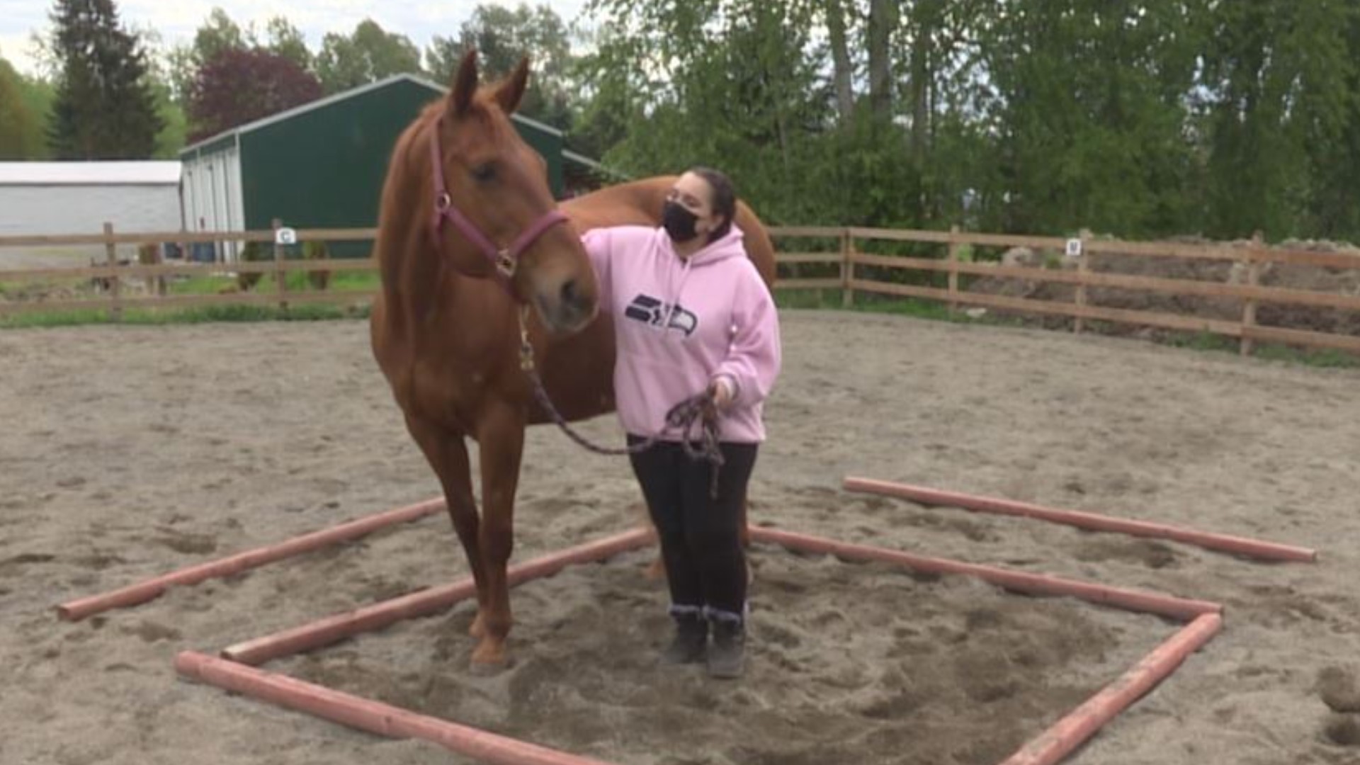 Animals as Natural Therapy uses horses and mental health counselors to deliver mental and behavioral health programming. #k5evening