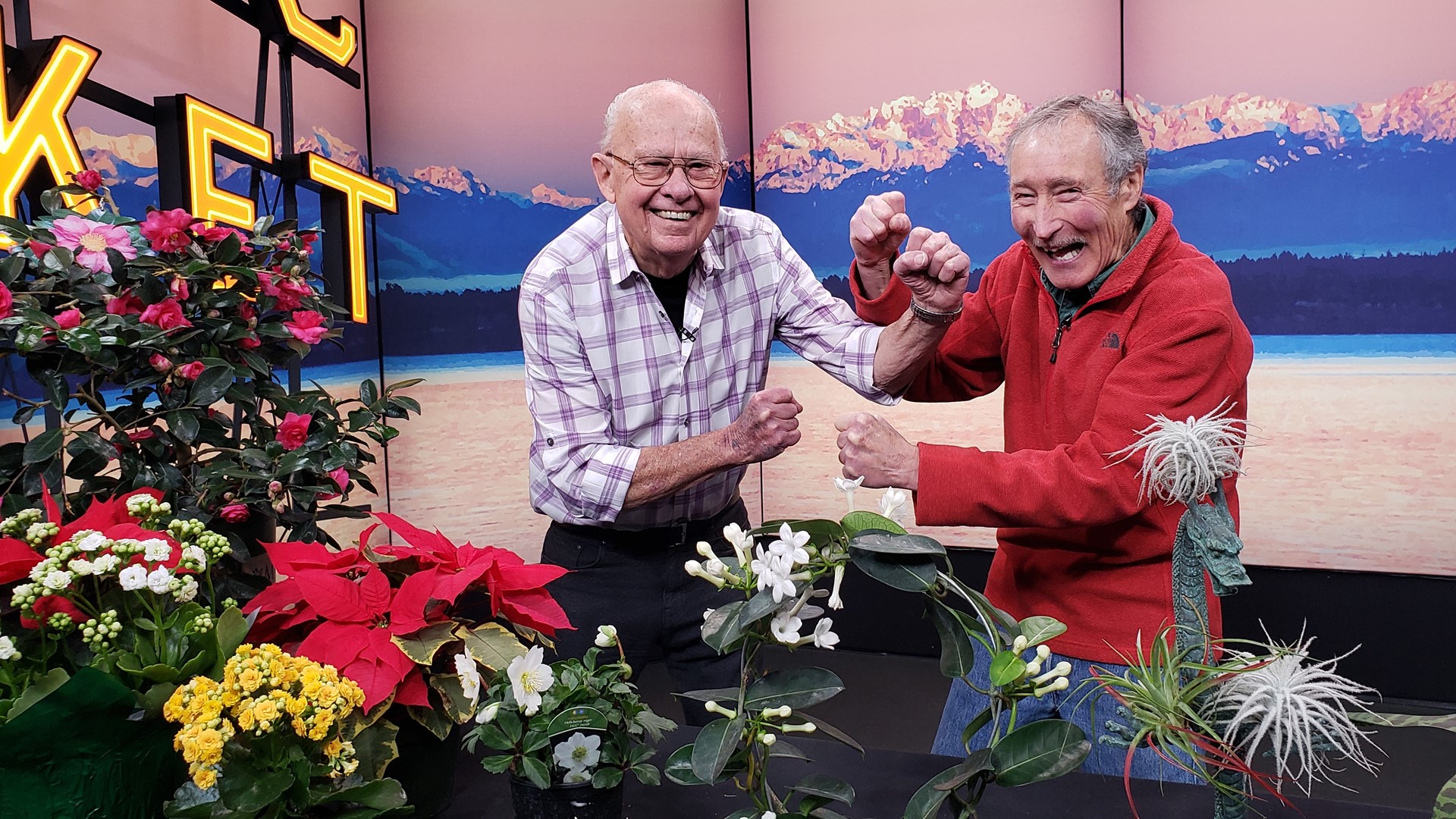 They're back and going head to head! Which gardening extraordinaire has the best ideas when it comes to gifting plants this holiday season?