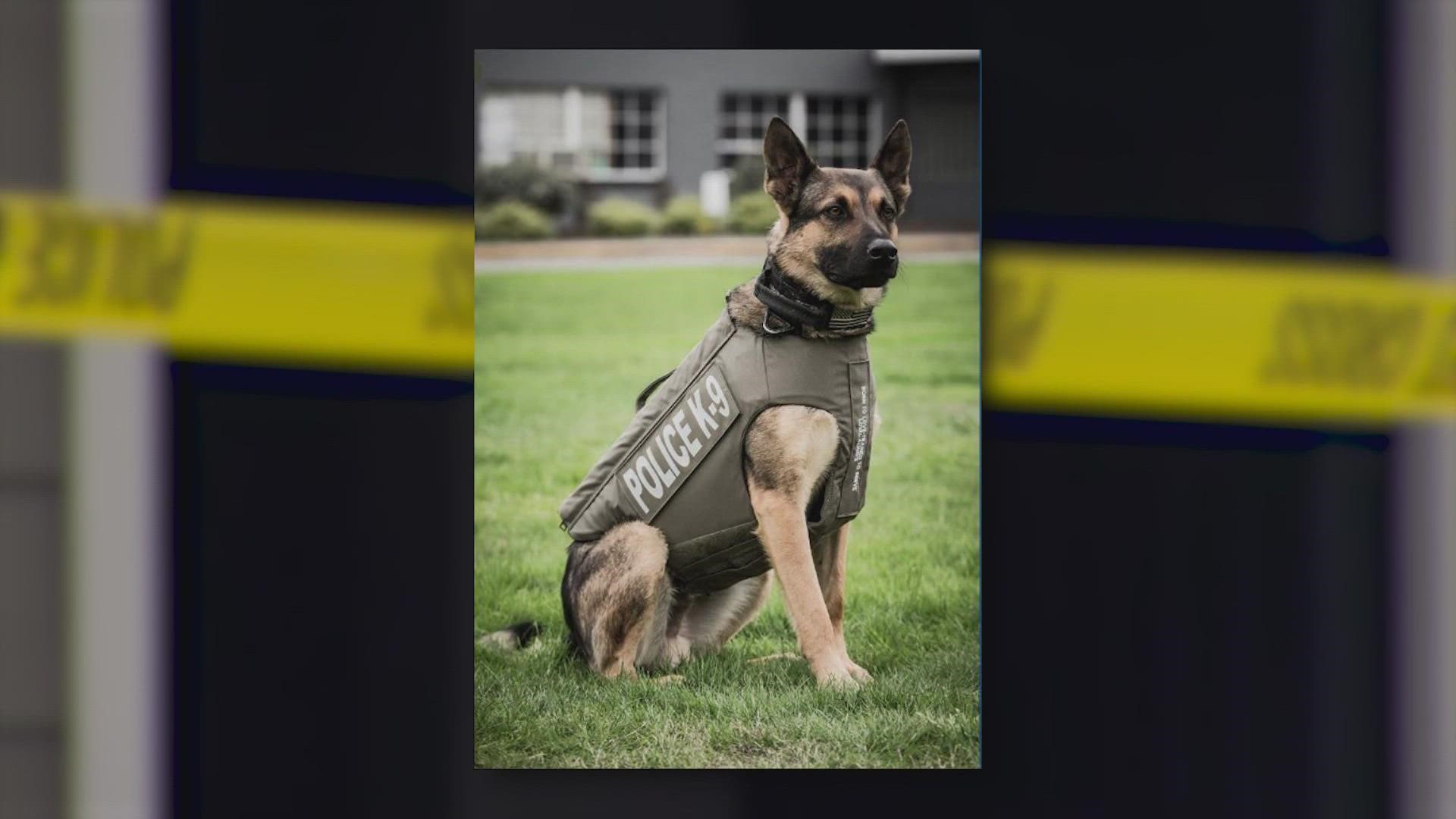 An officer shot and killed the robbery suspect after the suspect killed the police dog and stabbed another Seattle police officer in the face.
