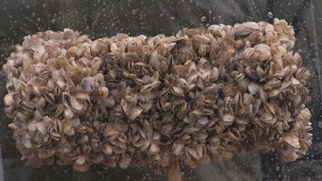 5 things to know this weekend