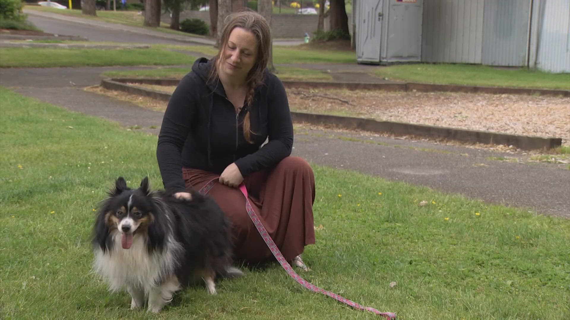 Sounder the dog is back home with his family and being credited for the safe return of a stolen vehicle in Lynnwood.