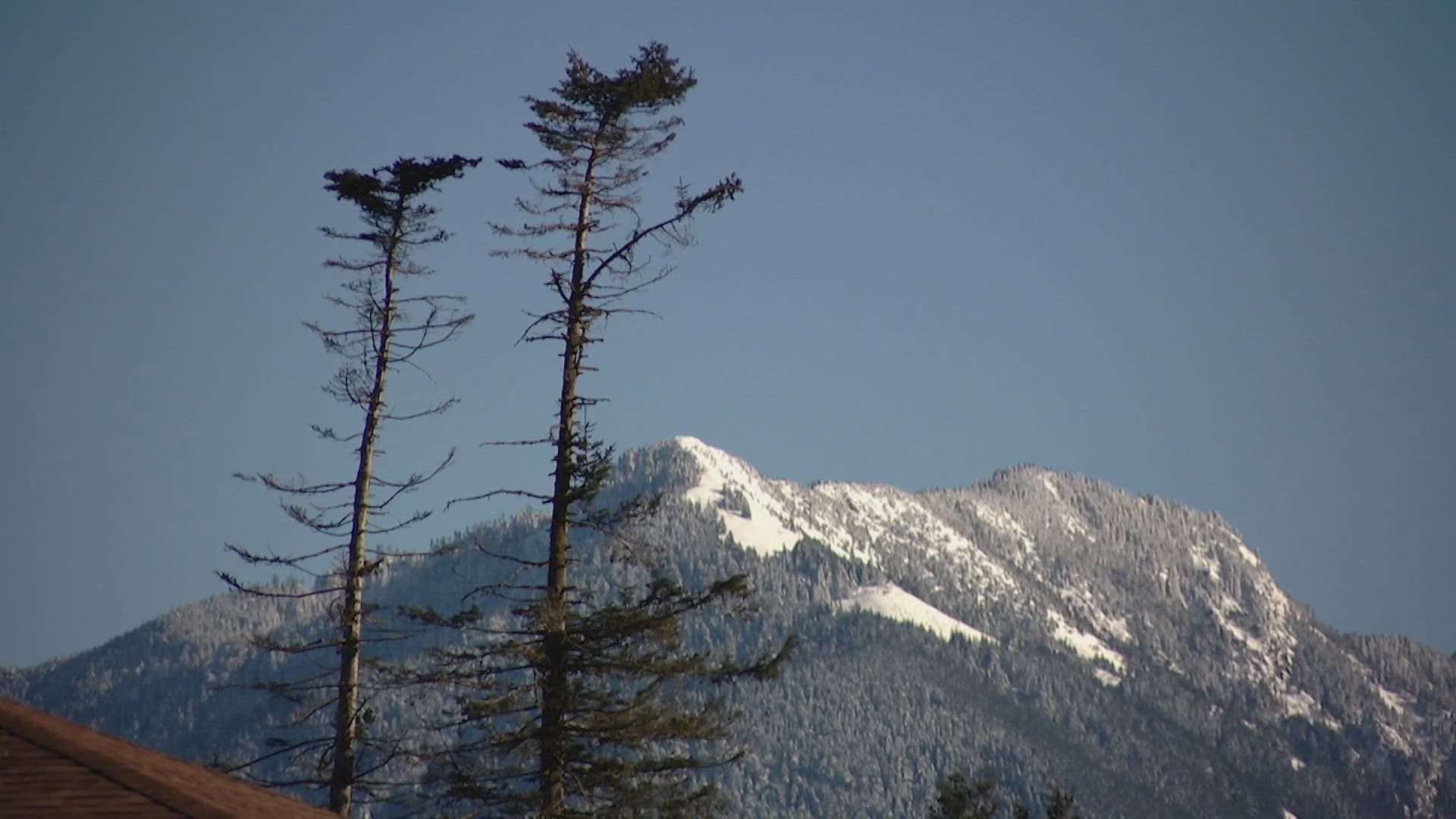 North Bend bracing for gusty winds amid plunging temperatures | king5.com