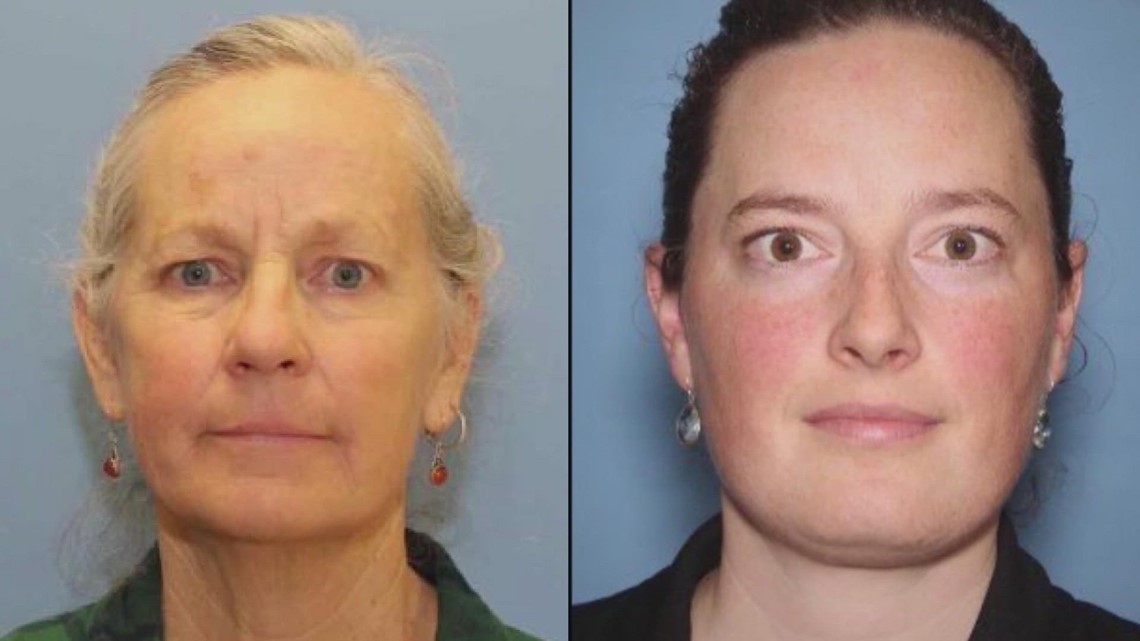 Foster parent, mother arrested after alleged kidnapping of Mount Vernon boy - Vimarsana News