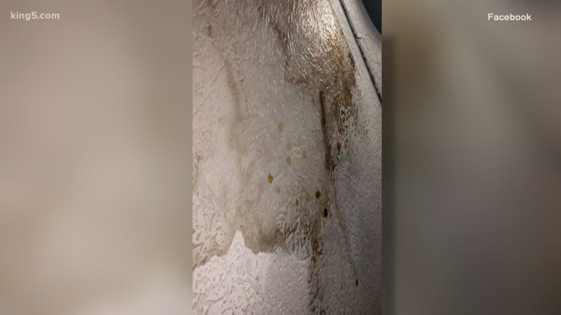 KING 5's Michelle Li takes a look at a renter's rights and what they can do about mold.
