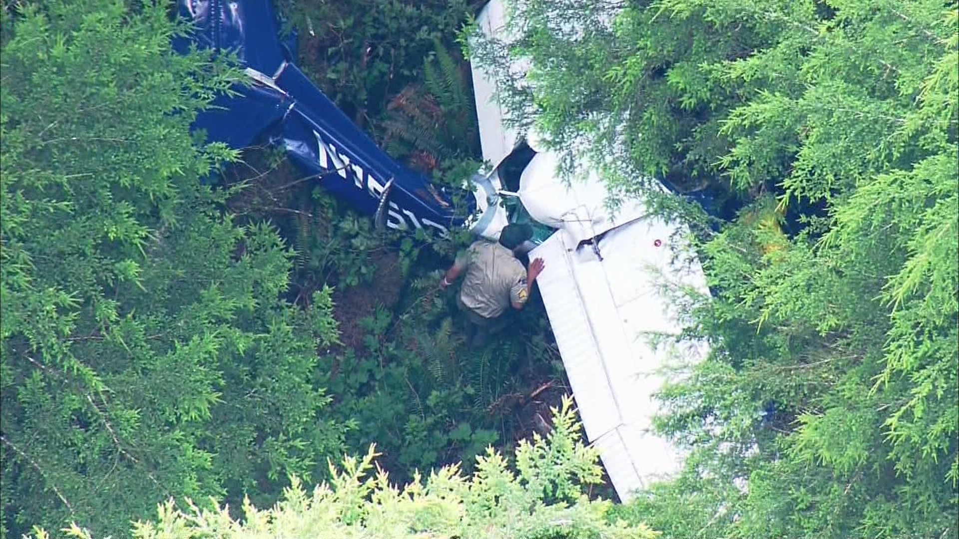 Aerials of plane crash in Olympic National Park