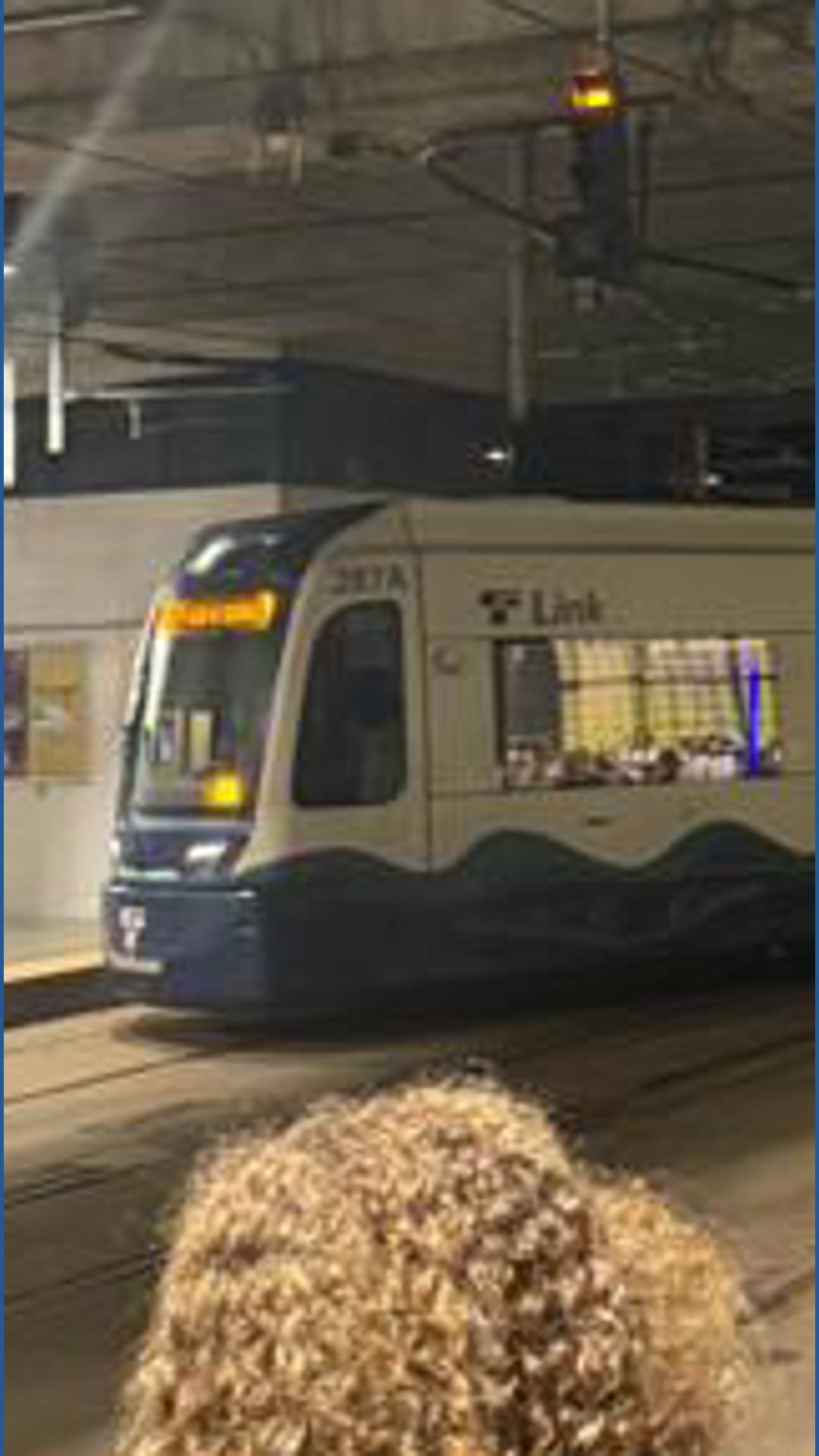 Back Railing Light rail back in service after train derails near CID Station | king5.com