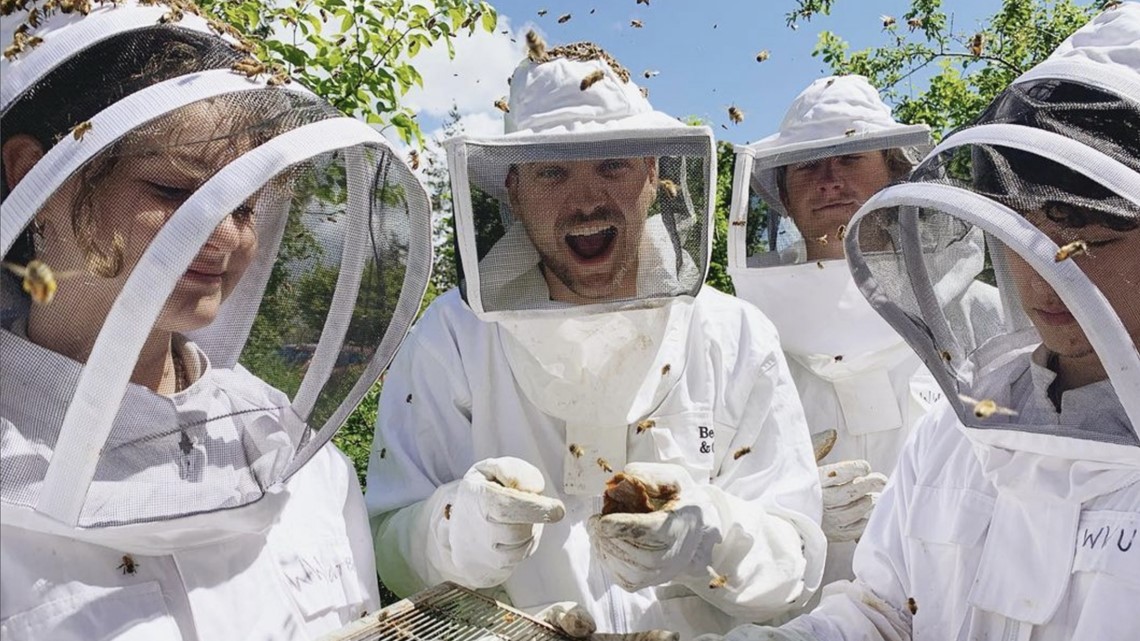 Western Washington University is now a Certified Bee Campus - Vimarsana News