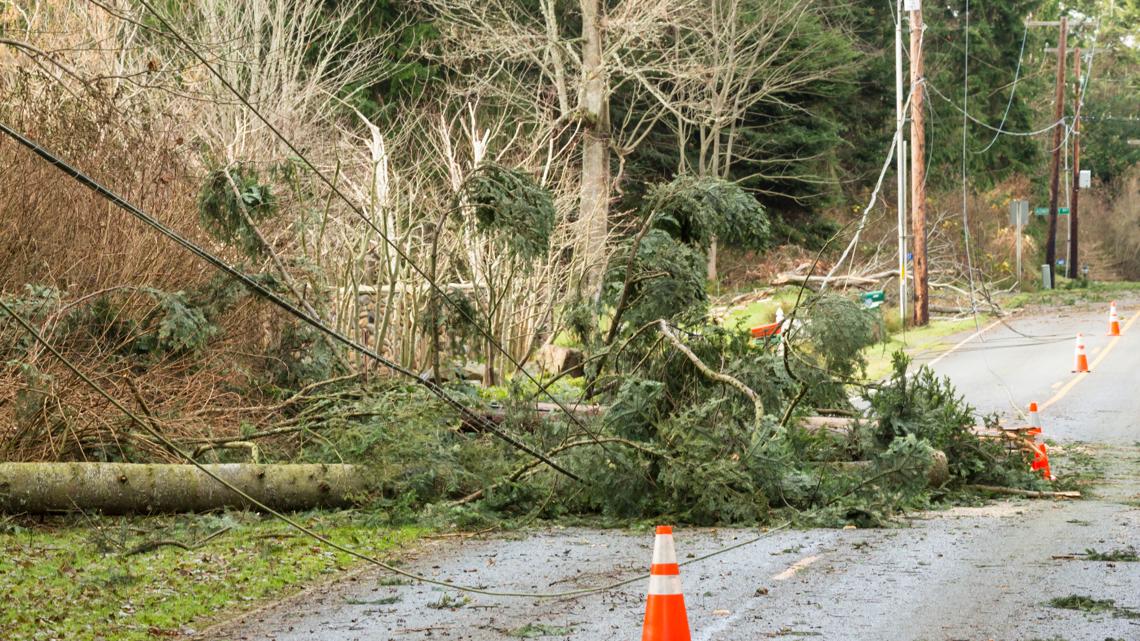 Wind Advisory issued for parts of King, Pierce Counties