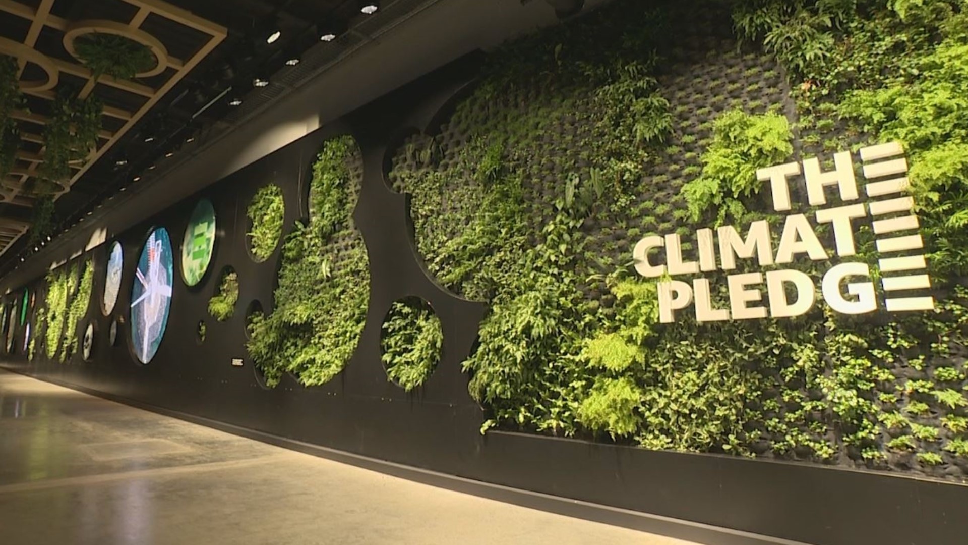 The Living Wall is Climate Pledge Arena's Most Insta-worthy spot