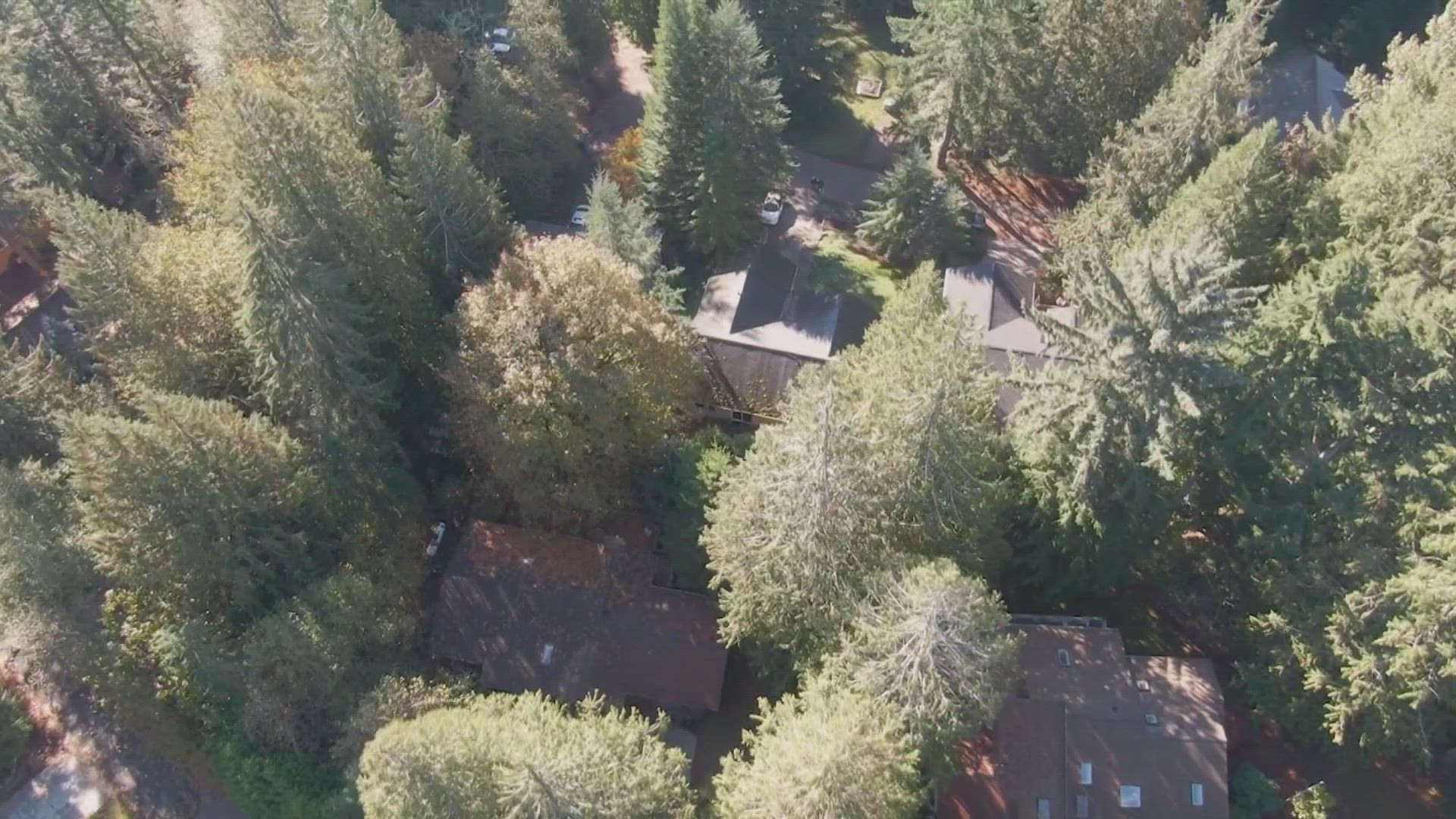 The regulations would eliminate trees and require at least 30 feet of "defensible space" around new homes.