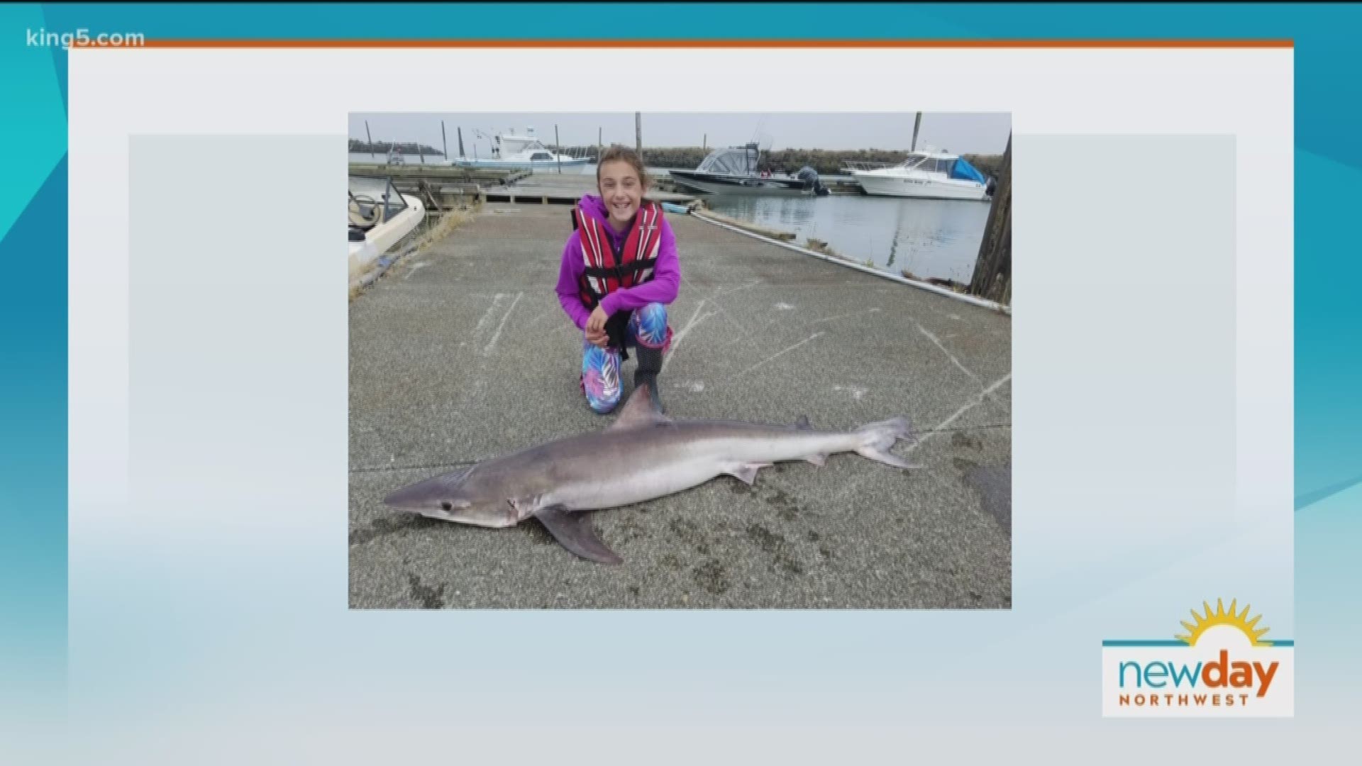 10 Year Old Girl Awarded State Record For Her Massive Tope Shark Catch New Day Nw King5 Com