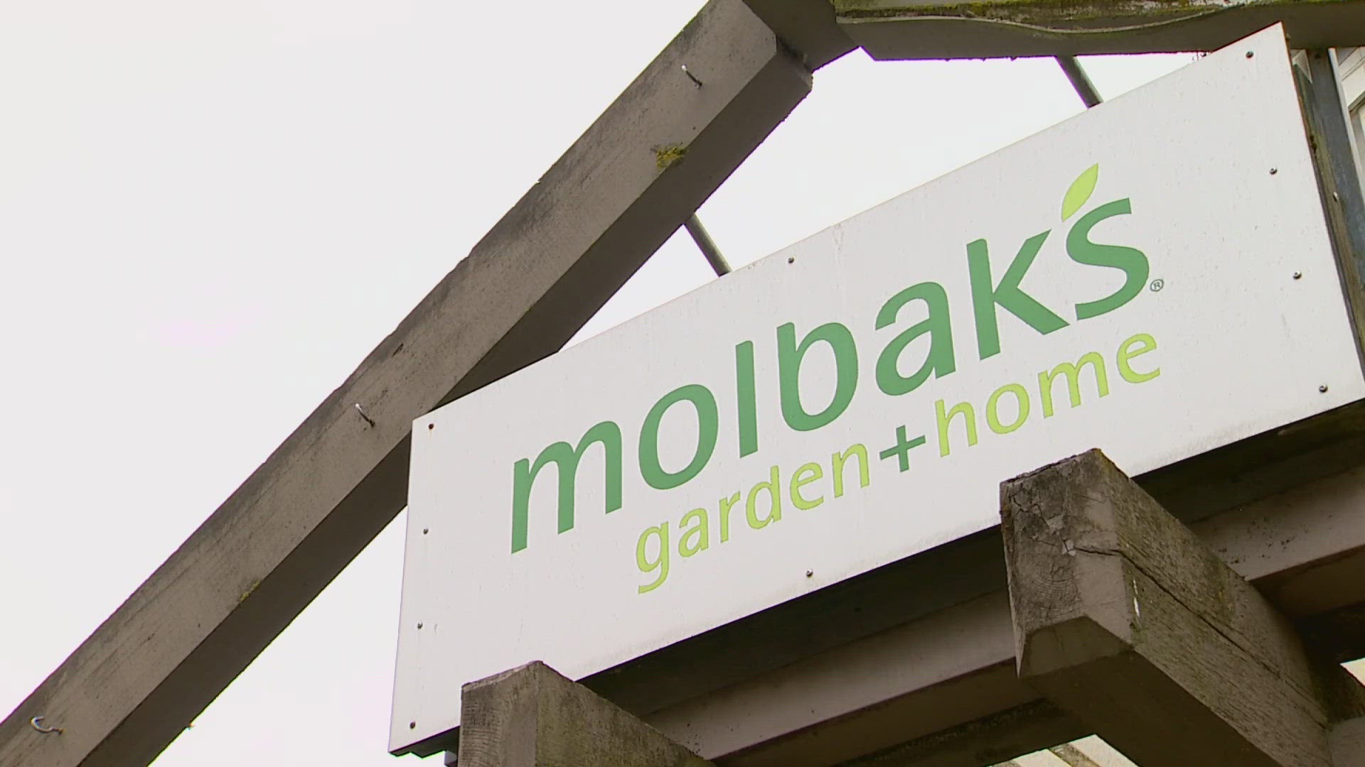 The owners of Molbak’s announced plans to transform the garden retailers’ former site following the support it received during its closure earlier this year.