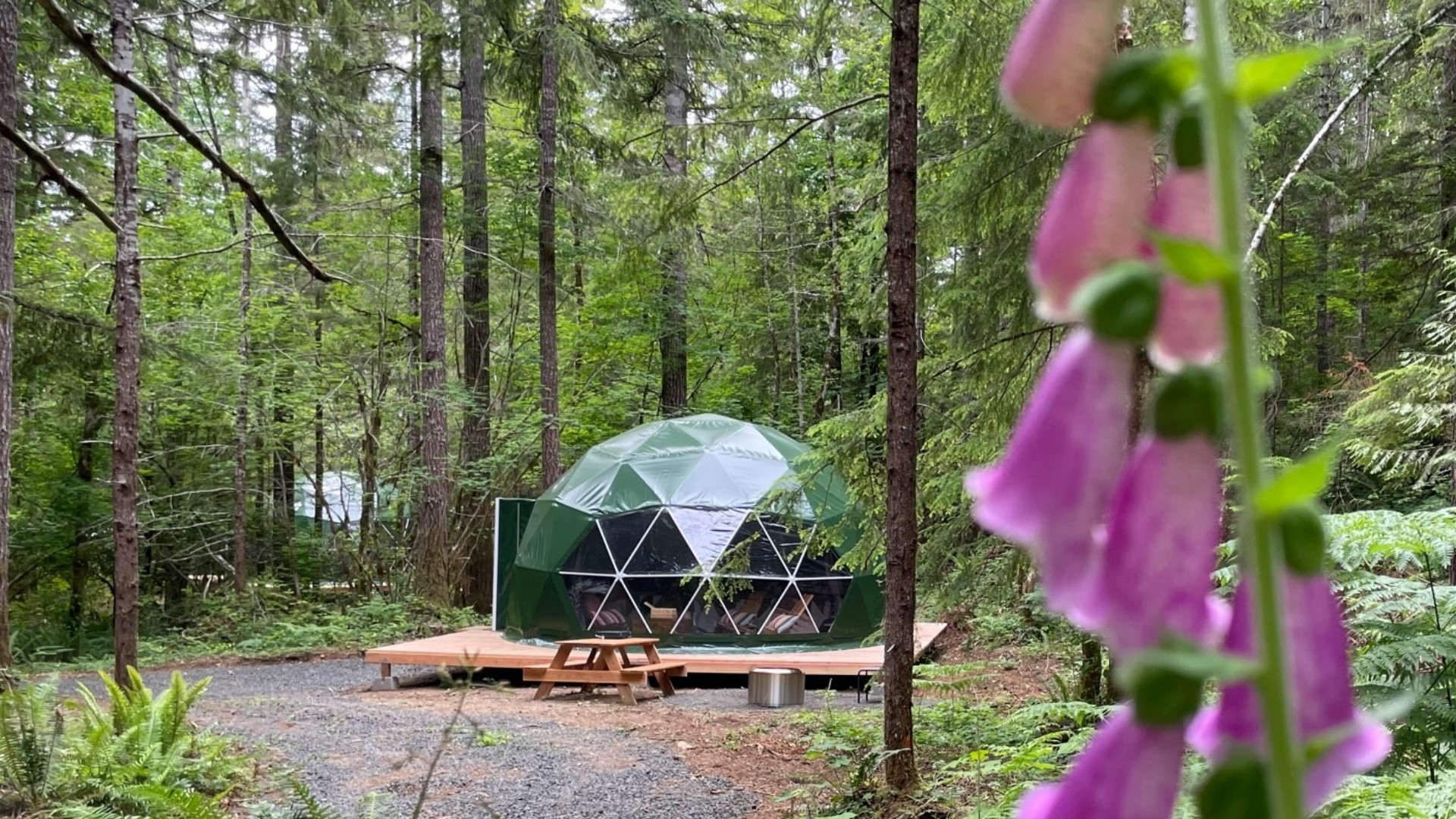 Geodesic dome getaway near Hood Canal combines nature and comfort #k5evening
