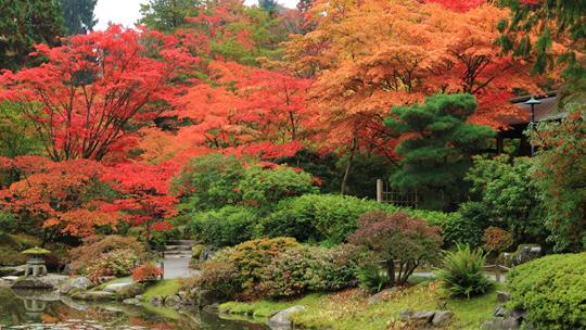 Best places in Washington to view fall foliage colors | king5.com