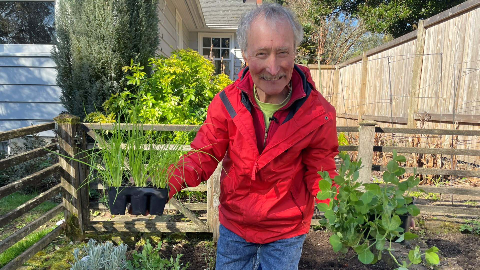 Make peace in the veggie garden. #k5evening